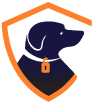 Paxion logo